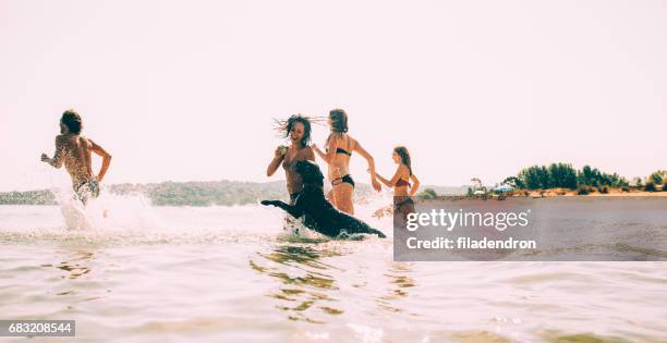 groupe de personnes et un chien nager dans la mer - entering photos et images de collection