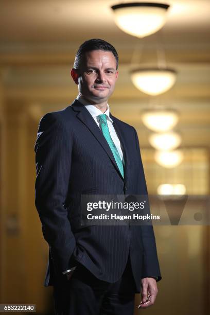 Green Party co-leader James Shaw poses for a portrait at Parliament on May 15, 2017 in Wellington, New Zealand.