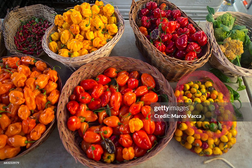 Different types of hot peppers