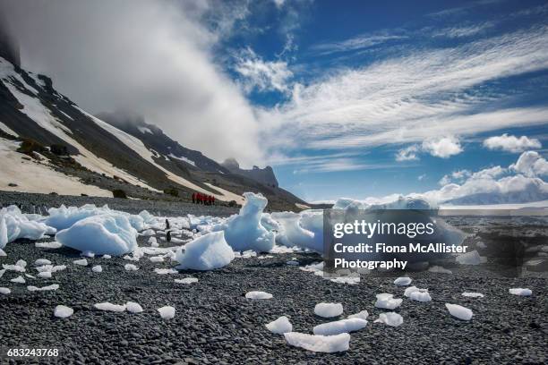 the beach beneath brown bluff, ancient antarctic volcano - antarctic sound stock pictures, royalty-free photos & images