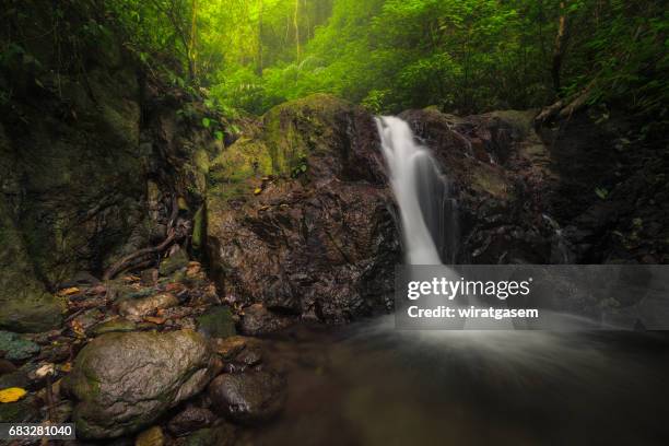 deep forest waterfall - shedd brook stock pictures, royalty-free photos & images