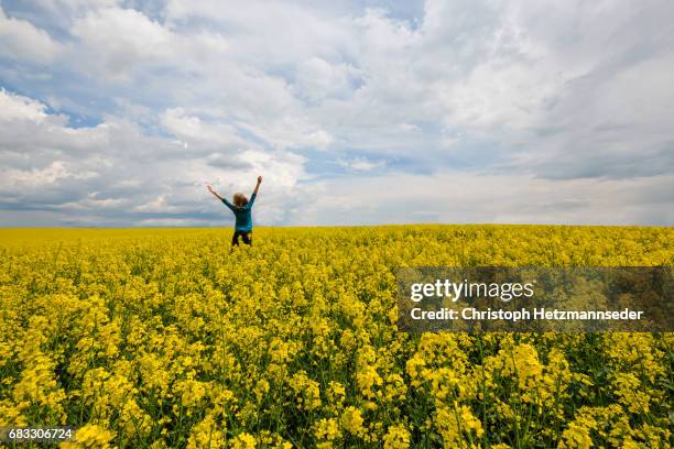 woman jumps in canola field - seasoning mid air stock pictures, royalty-free photos & images