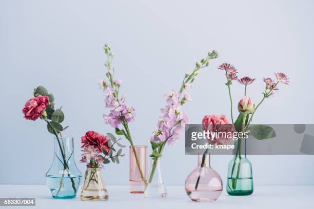 gesteck in pastell - vase stock-fotos und bilder