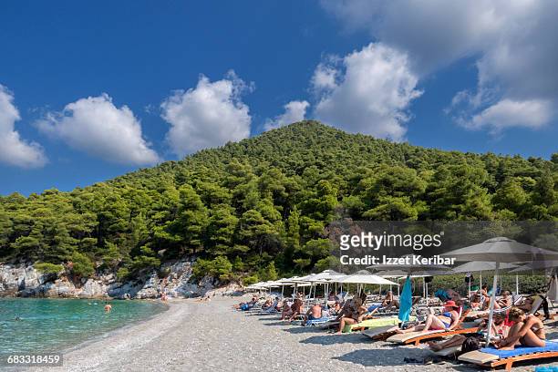kastania beach, skopelos island sporades greece - skopelos stock pictures, royalty-free photos & images
