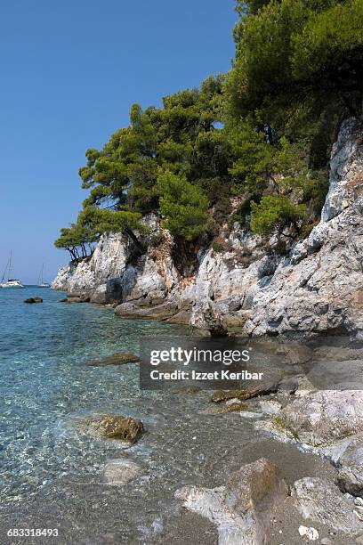 kastania beach, skopelos island sporades greece - skopelos photos et images de collection