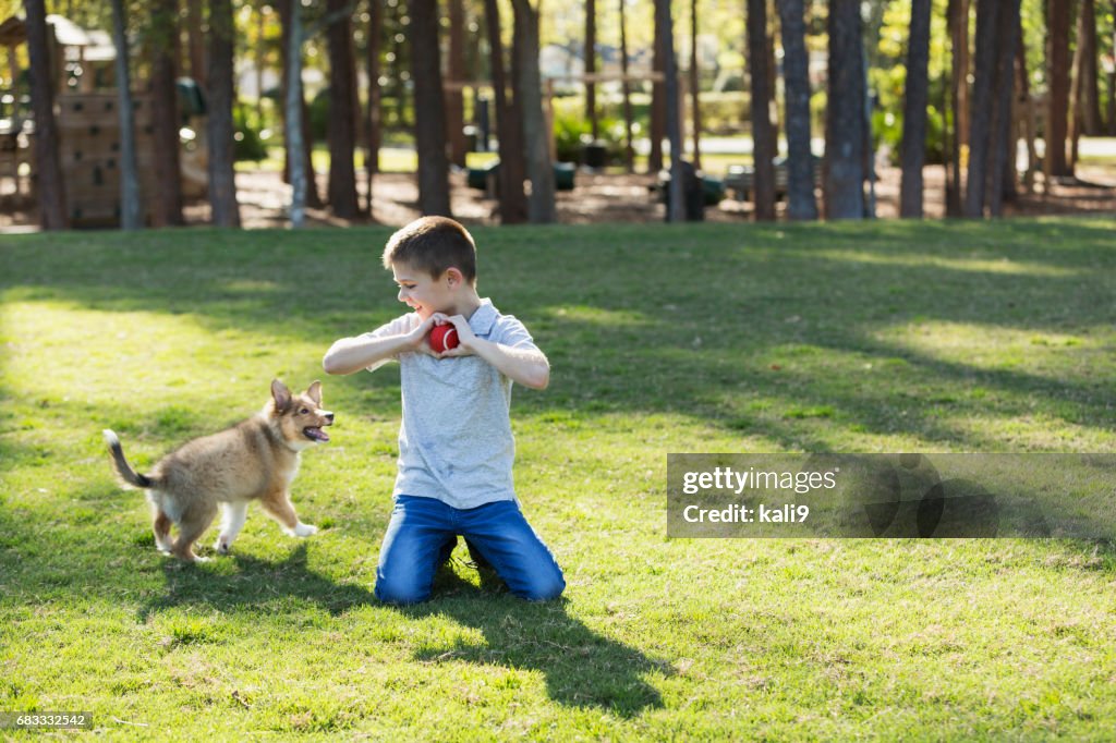 Garçon jouant à chercher avec petit chien sheltie dans le parc