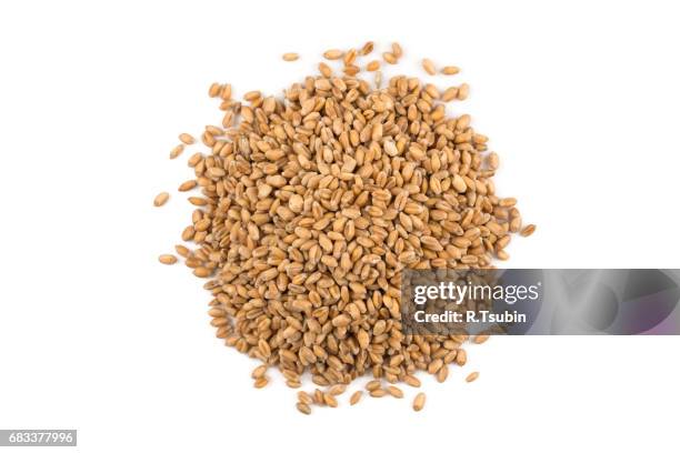 wheat grain on white - spelt stock pictures, royalty-free photos & images
