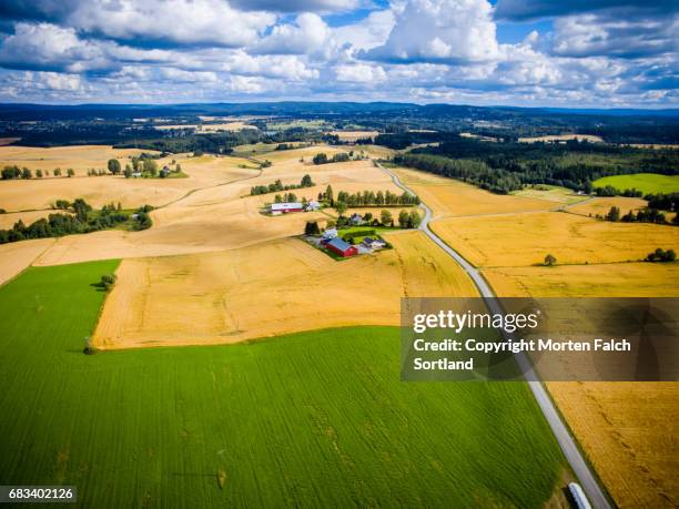 wheat field, southern norway - østfold stock pictures, royalty-free photos & images