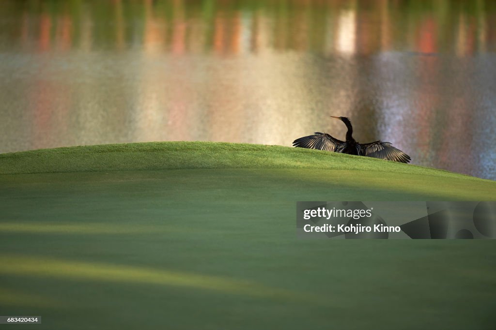 2017 PLAYERS Championship - Round Three