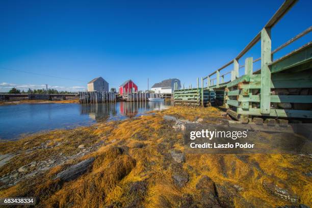 low tide at blue rocks - blue rocks nova scotia stock pictures, royalty-free photos & images