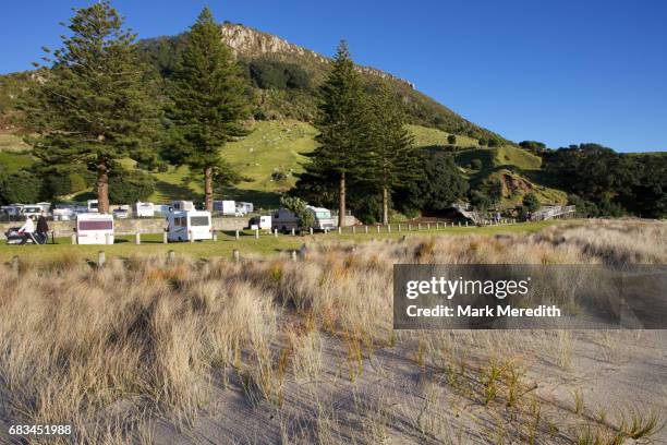 campsite at the foot of mt maunganui, tauranga - berg maunganui stockfoto's en -beelden