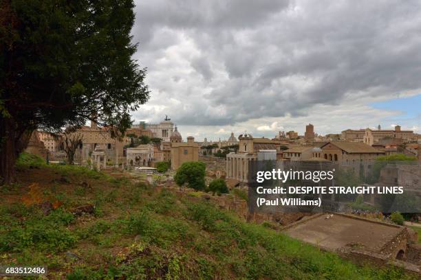 view from paltine hill of the roman forum - palatin stock-fotos und bilder