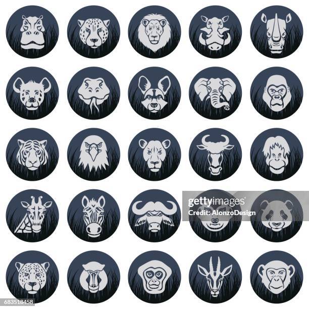 wild animal face icons - hyena stock illustrations