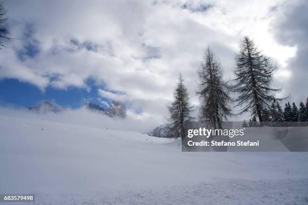 italy, dolomiti, passo rolle, paesaggio innevato - innevato stock pictures, royalty-free photos & images