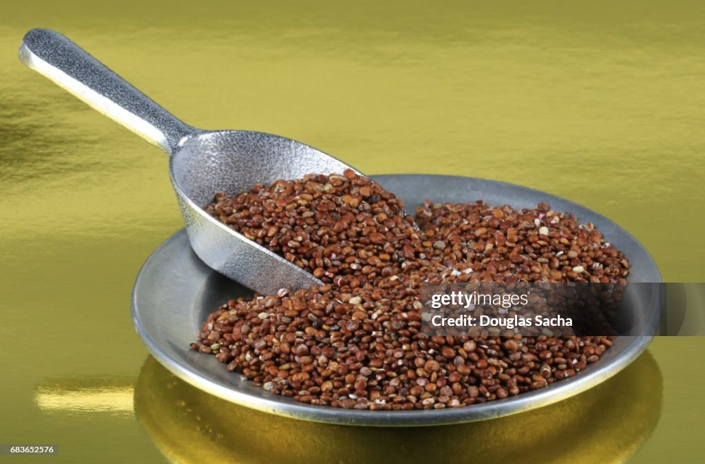 Dish and scoop of uncooked Red Royal Pearl Quinoa (Chenopodium quinoa)