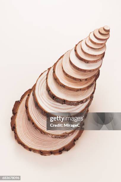 Tree Slicer Example 647 Tree Trunk Slice Stock Photos, High-Res Pictures, and Images ...