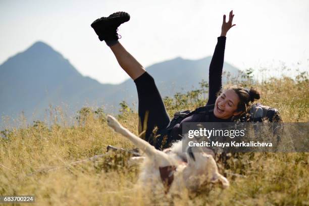 woman playing with a dog in a yellow grass - travel loyalty stock pictures, royalty-free photos & images