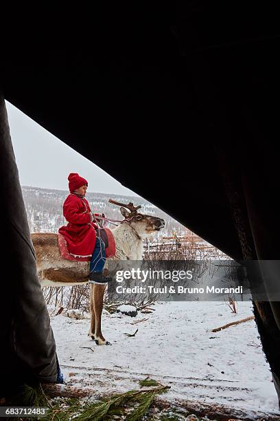 mongolia, tsaatan, winter camp - teepee stock pictures, royalty-free photos & images