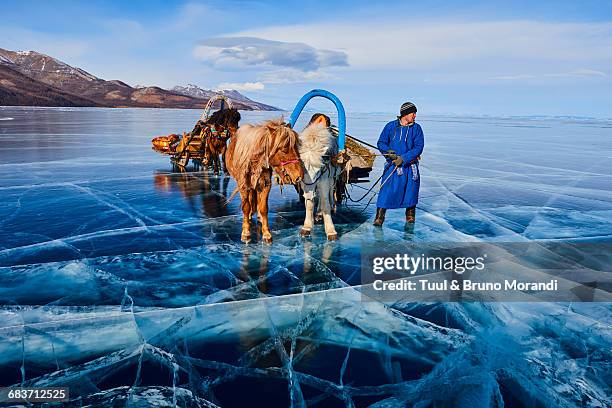 mongolia, khovsgol frozen lake - equestrian animal stock pictures, royalty-free photos & images