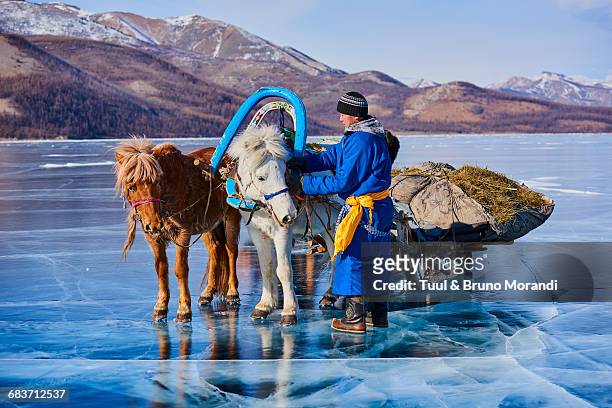 mongolia, khovsgol frozen lake - frozen lake stock pictures, royalty-free photos & images