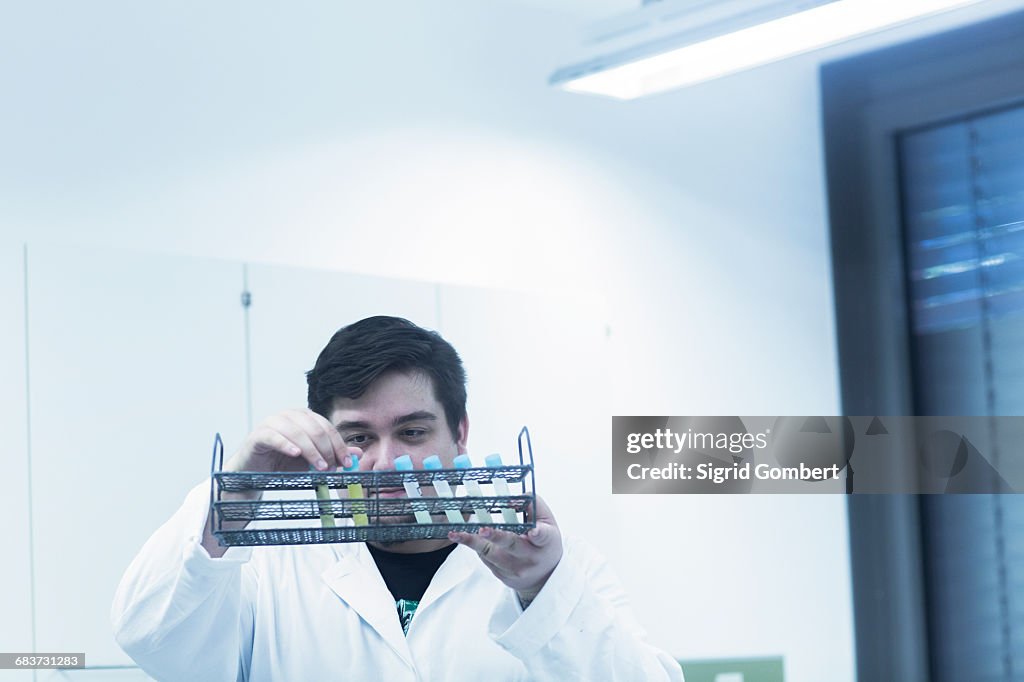 Scientist examining test tubes in rack