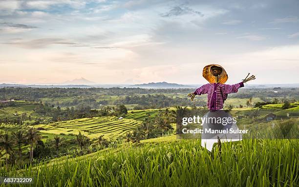 elevated view of jatiluwih rice terraces and scarecrow, bali, indonesia - jatiluwih rice terraces stock pictures, royalty-free photos & images