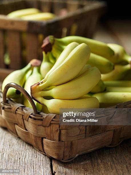 fresh organic fruit, baby bananas - platano fotografías e imágenes de stock