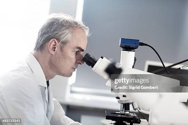 Meteorologists Male Meteorologist Photos and Premium High Res Pictures - Getty Images