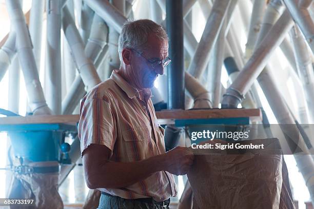 male miller monitoring sack of flour at wheat mill - flour bag stockfoto's en -beelden