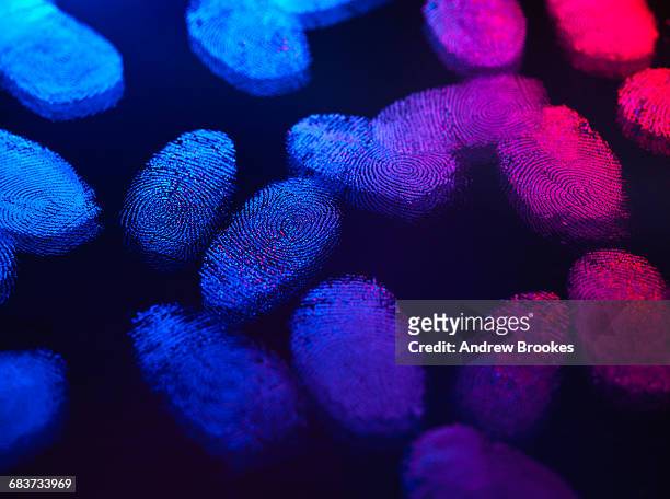 identity, human finger prints shown up using light - impronta digitale foto e immagini stock