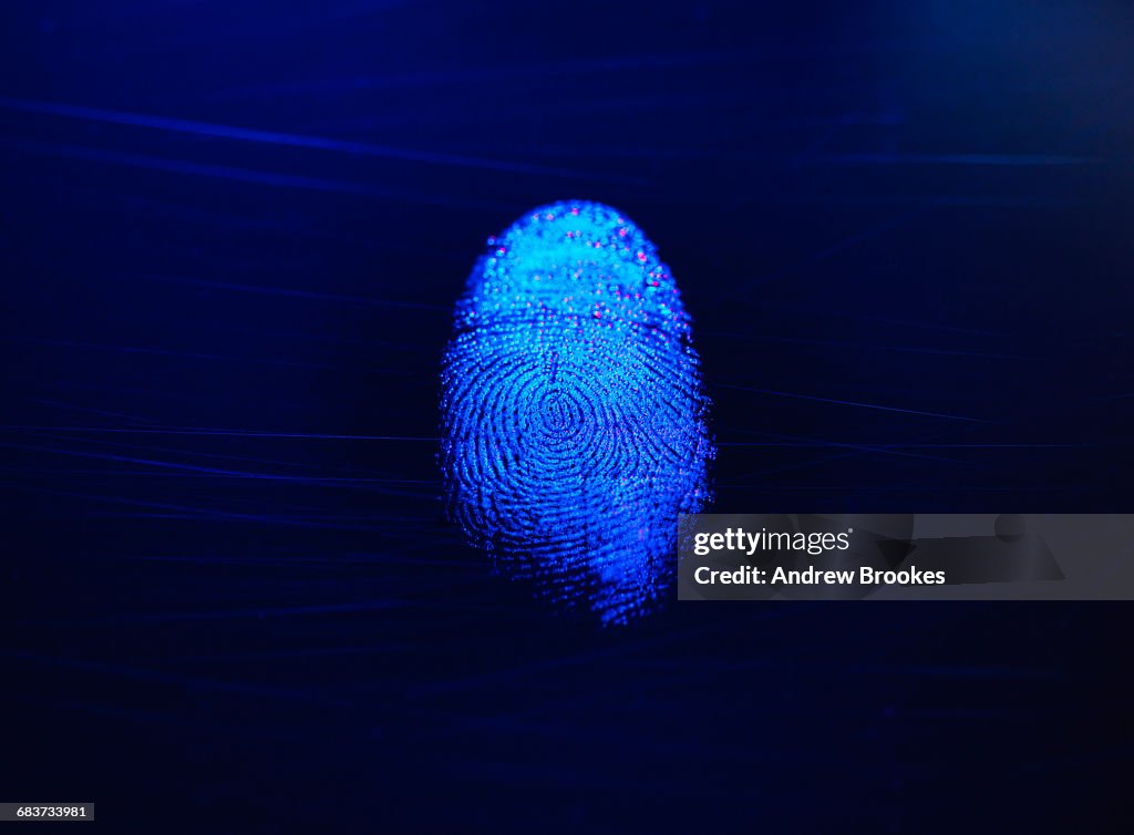 Human finger print as evidence of identity and as a password