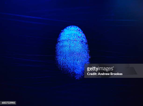 human finger print as evidence of identity and as a password - forensisch onderzoek stockfoto's en -beelden