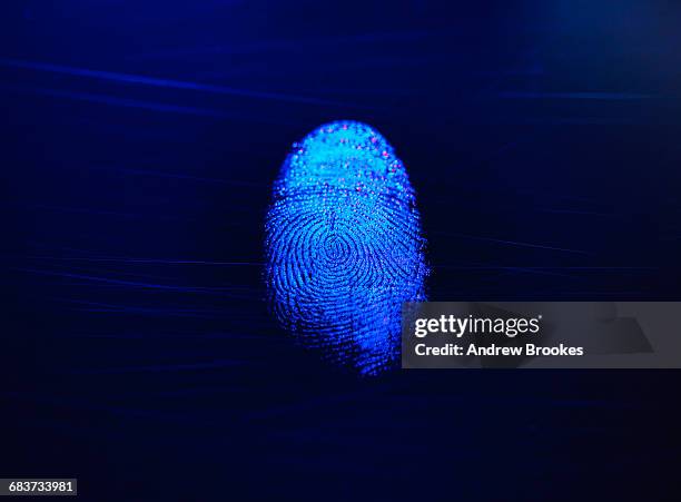 human finger print as evidence of identity and as a password - forensic stock pictures, royalty-free photos & images