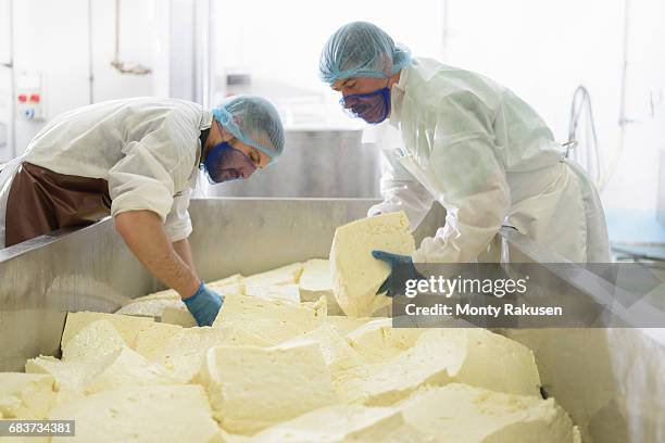 workers cutting mozzarella cheese in cheese factory - producción-de-queso fotografías e imágenes de stock