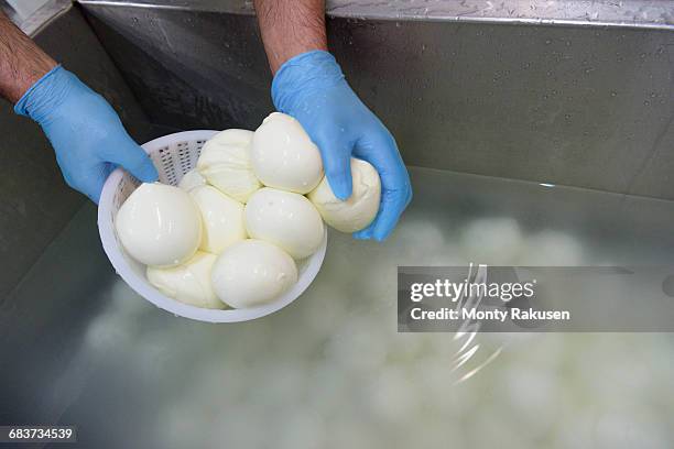 worker putting mozzarella balls into salt water in cheese factory - mozzarella foto e immagini stock