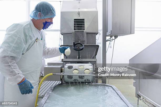 Mozzarella Machine 171 Mozzarella Cheesemaking Stock Photos, High-Res Pictures, and Images ...