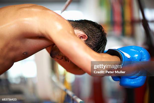 304 Boxing Leaning On Ropes Stock Photos, High-Res Pictures, and Images ...