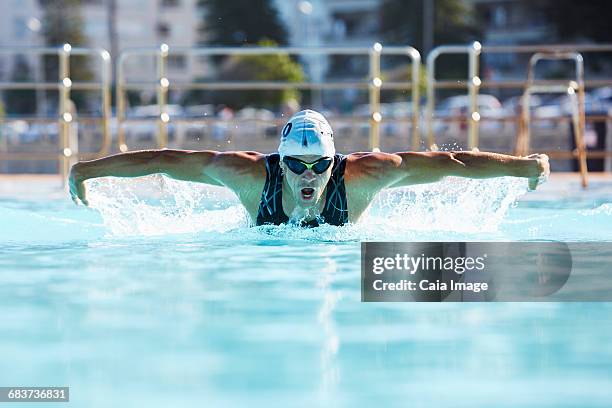 male swimmer athlete doing butterfly stroke swimming in swimming pool - butterfly stroke stock-fotos und bilder