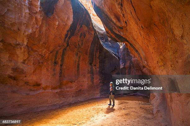 woman in canyon in capitol reef national park, utah, usa - capitol reef national park stock pictures, royalty-free photos & images