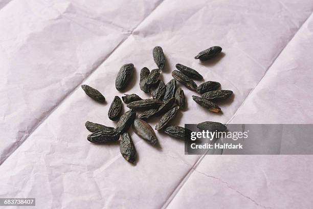 close-up of tonka beans on paper - tonka stock pictures, royalty-free photos & images