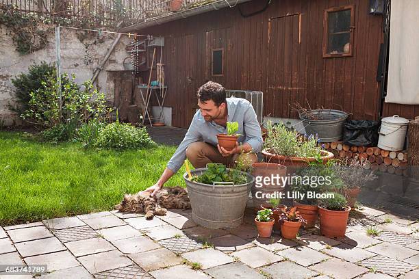 man in garden tending to plants - crouching cat stock-fotos und bilder