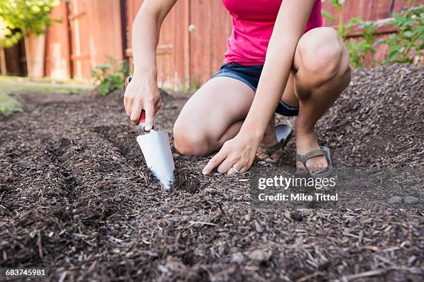 young woman planting seeds in garden, low section - sandy utah stock-fotos und bilder