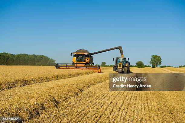 tractor and combine harvester harvesting wheat field - combine day 2 stockfoto's en -beelden