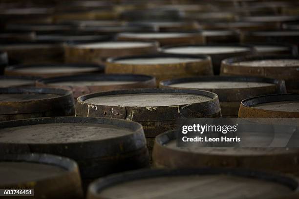 rows of wooden whisky casks in whisky distillery - destilación fotografías e imágenes de stock