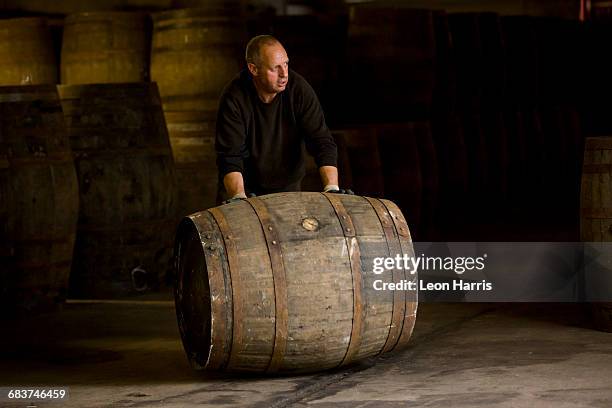 worker rolling whisky cask in whisky distillery - barrel stock pictures, royalty-free photos & images