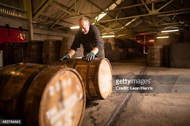 worker rolling whisky cask in whisky distillery warehouse - destilería fotografías e imágenes de stock