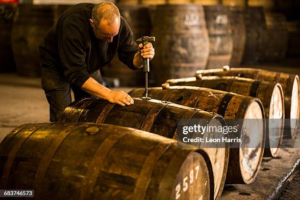 male worker opening wooden whisky cask in whisky distillery - barrel stockfoto's en -beelden