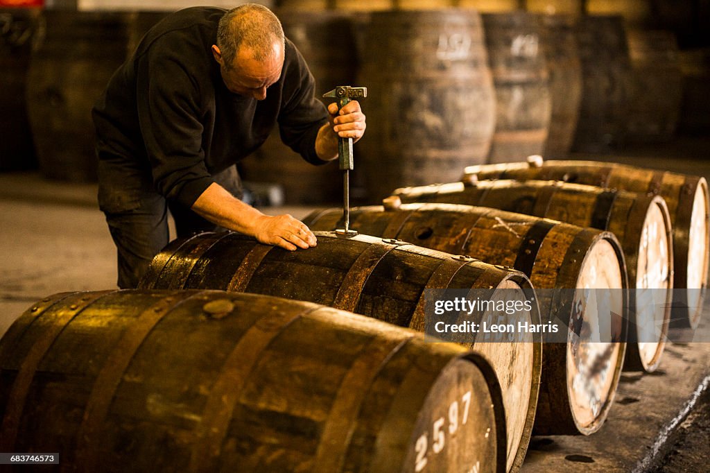 Male worker opening wooden whisky cask in whisky distillery