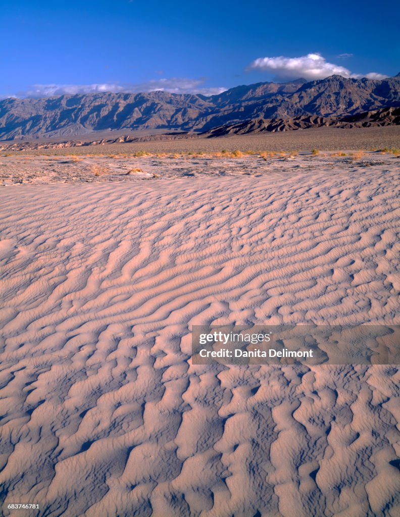 Textures in sand dunes at Mesquite Flats with Grapevine Mountains in distance, Death Valley National Park, California, USA