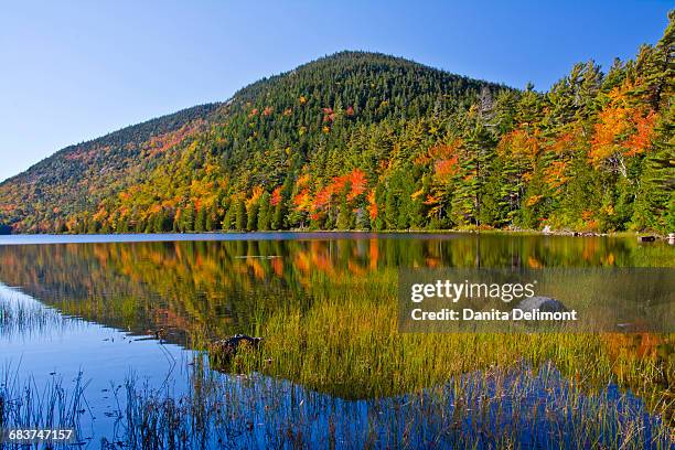autumn trees reflecting in bubble pond, acadia national park, maine, new england, usa - bubble pond stock-fotos und bilder